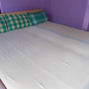 https://sreeja-lodge.kerala-hotels.net